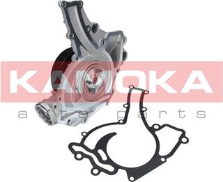 Kamoka T0195