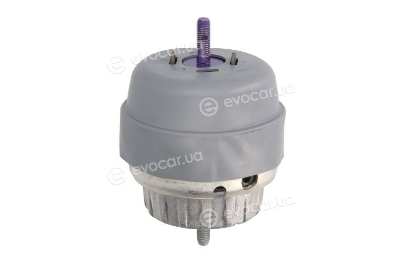 Reinhoch RH11-0099