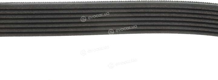 Gates 7PK1810