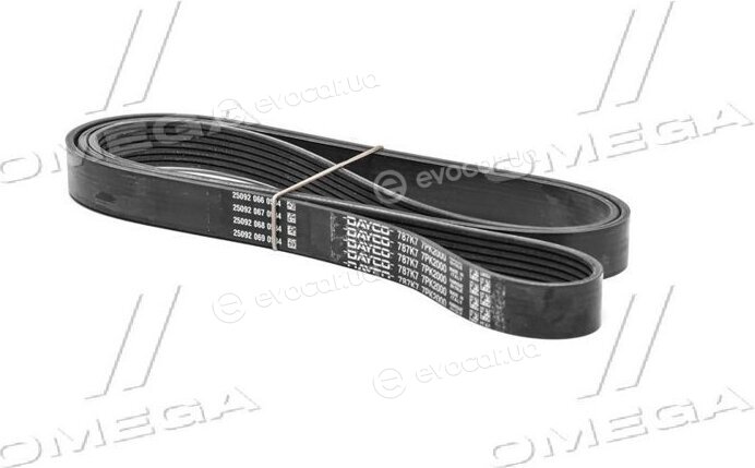 Dayco 7PK2000