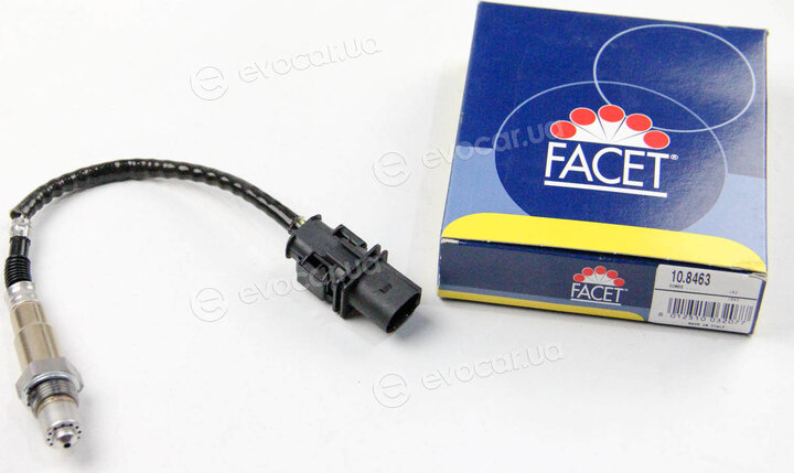 Facet 10.8463
