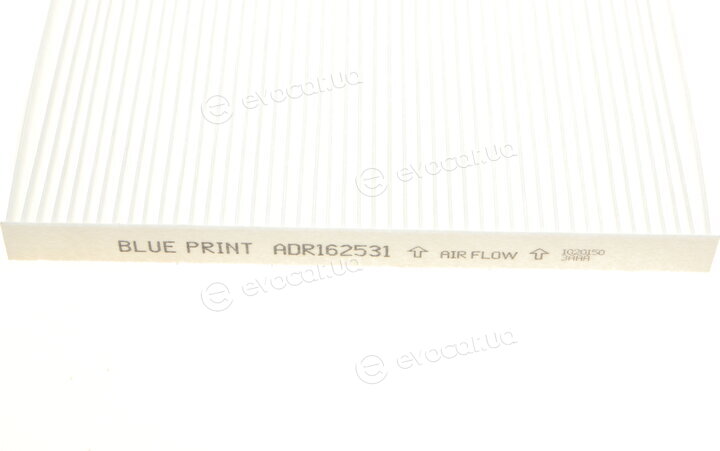 Blue Print ADR162531