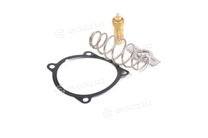 Mahle TX 51 79D
