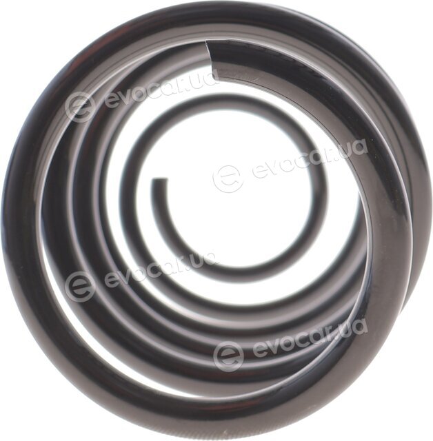 Solgy 212165