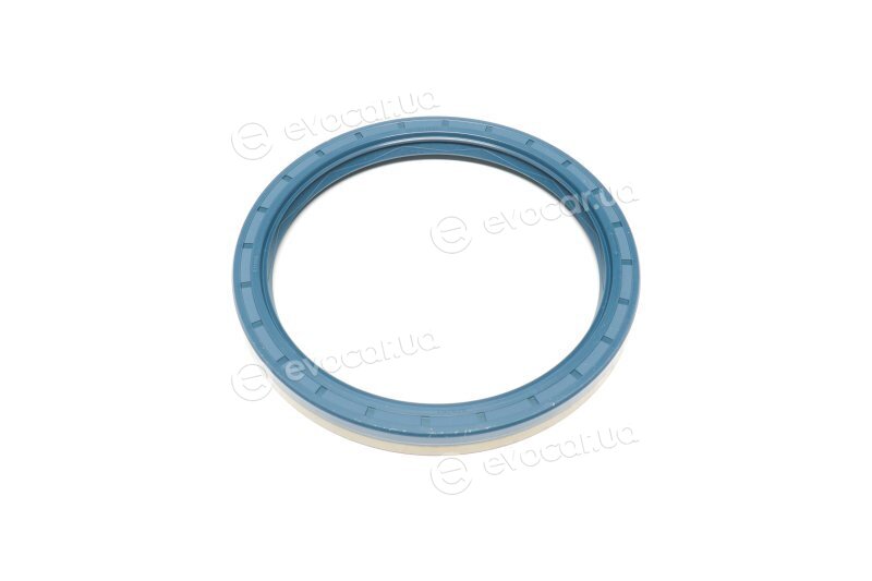Elring 210.294