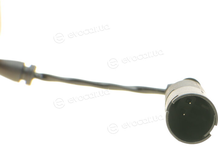 AIC 55244