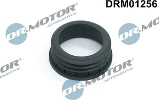 Dr. Motor DRM01256