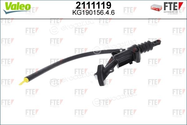 FTE 2111119