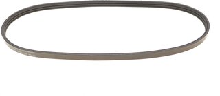 Dayco 3PK675