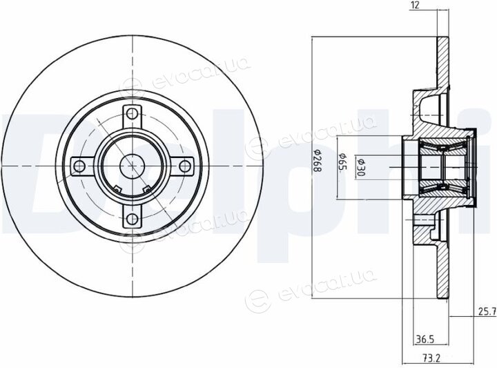 Delphi BG9053RSC