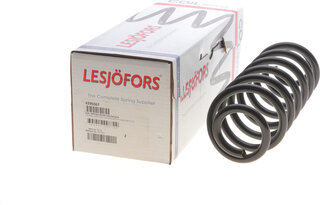 Lesjofors 4295067