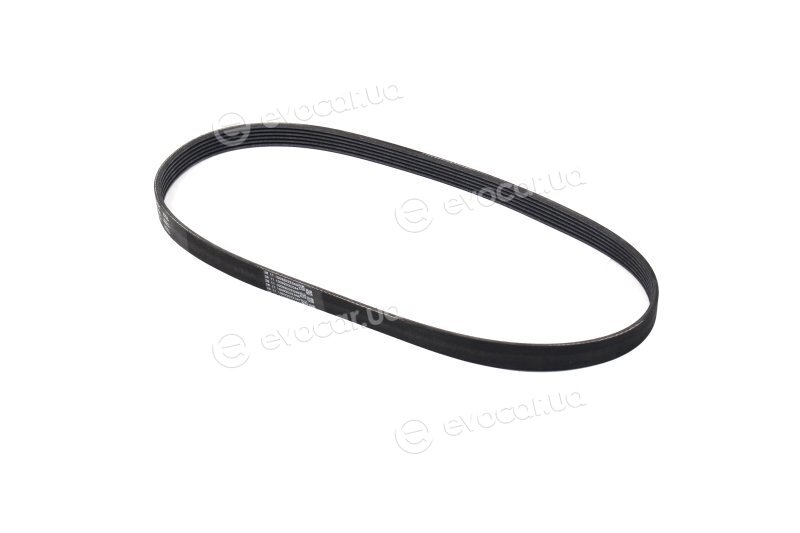 Continental 6PK989 ELAST