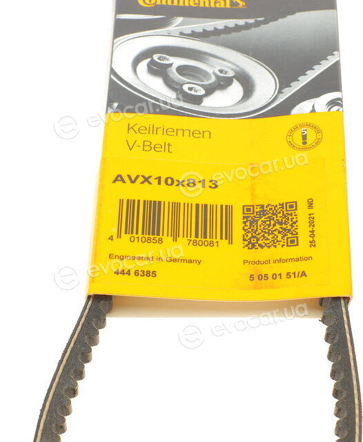 Continental AVX10X813