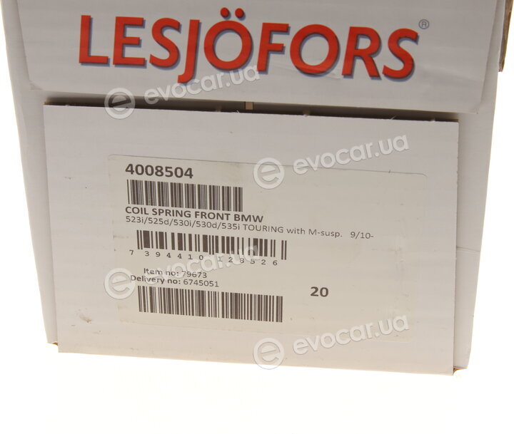 Lesjofors 4008504