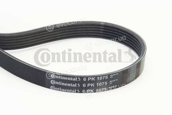 Continental 6PK1075