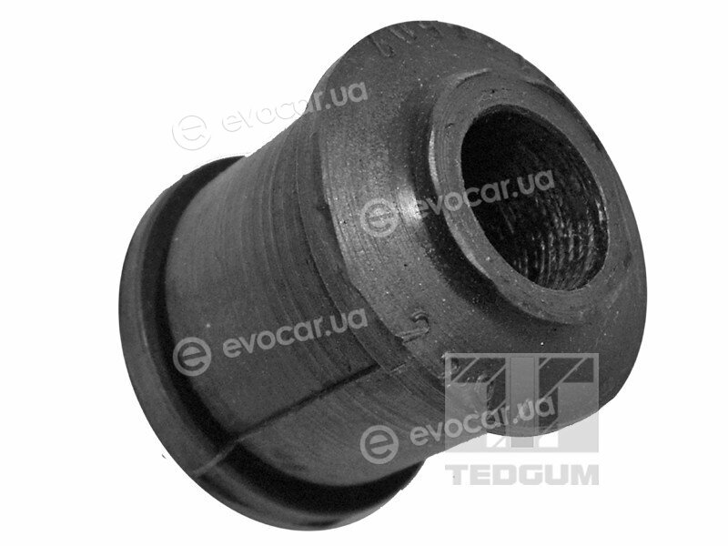 Tedgum 01140843