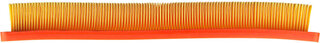 NTY FAFPE040