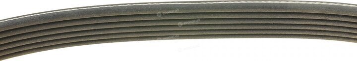 Dayco 6PK1835