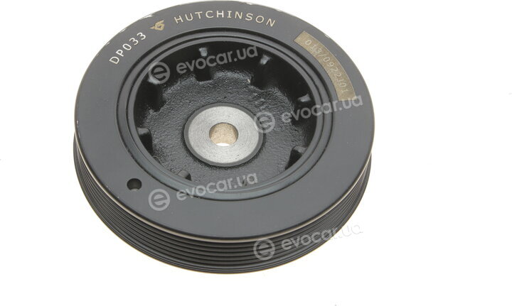 Hutchinson DP033