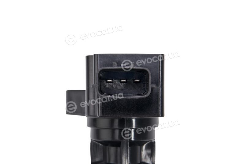 BorgWarner ZSE244