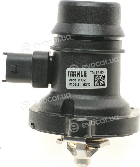 Mahle TM 37 80