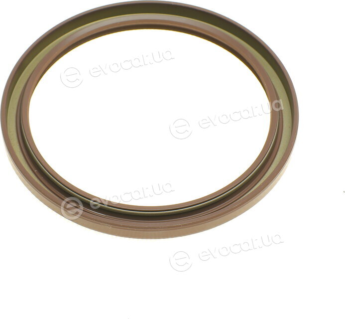Elring 855.060