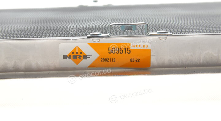 NRF 509515