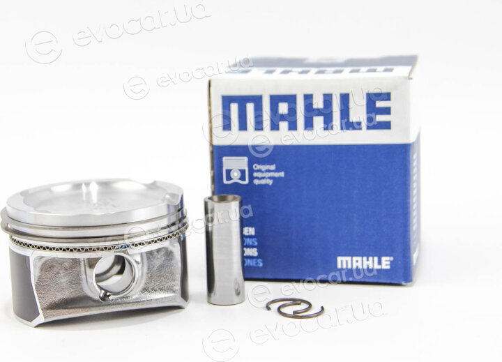 Mahle 030 64 01