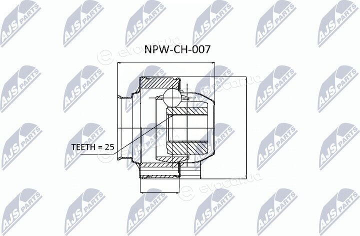 NTY NPW-CH-007