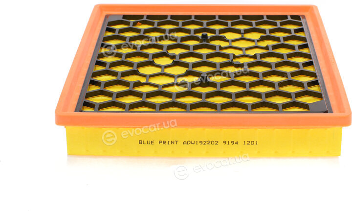 Blue Print ADW192202