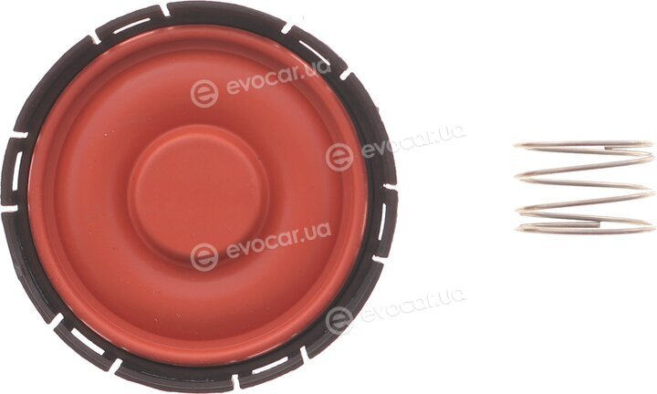 Solgy 124028