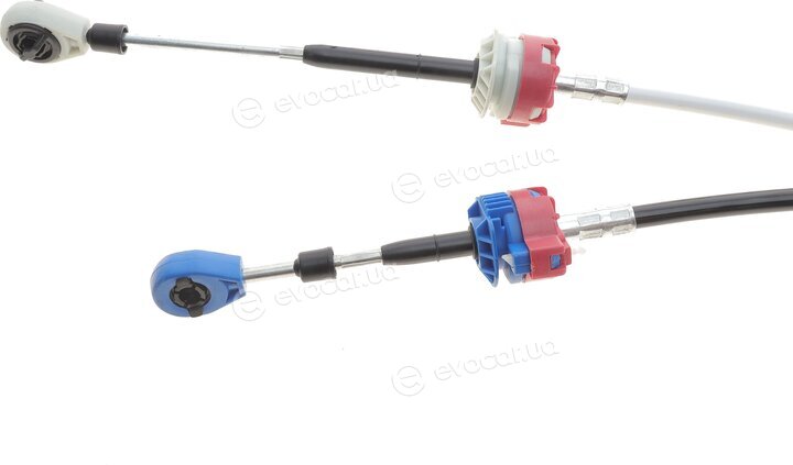AIC 58955