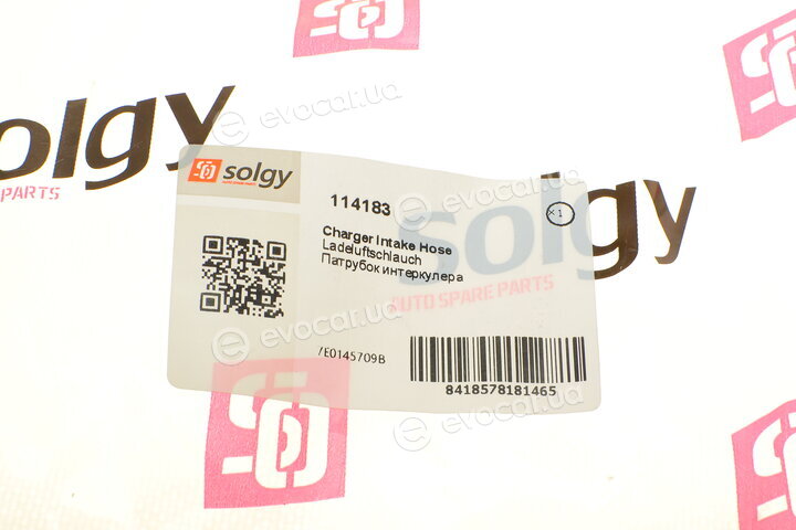 Solgy 114183
