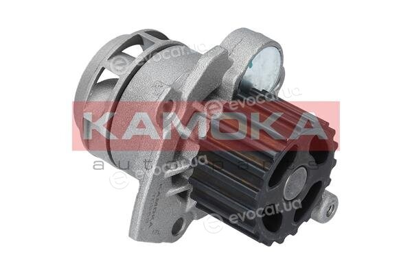 Kamoka T0253