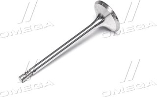 Gunes 4569