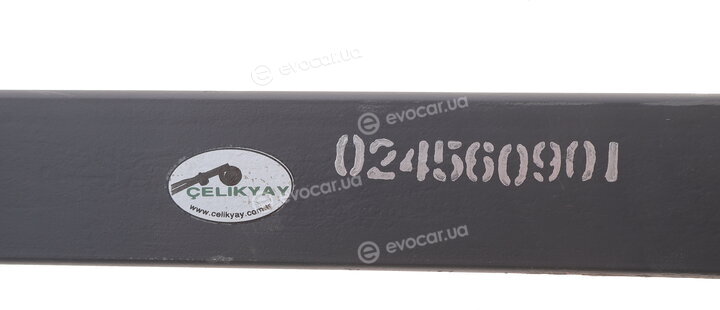 Celikyay 024560901