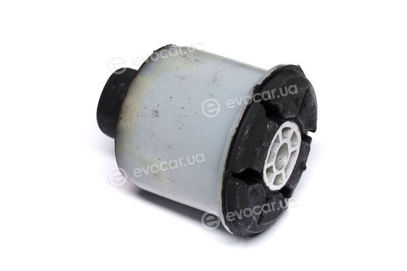 Sasic 2604003