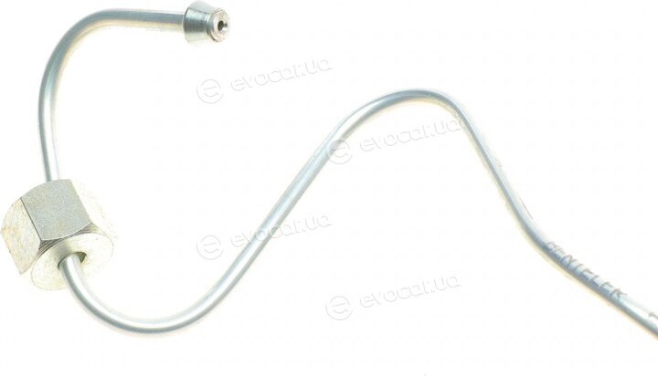 Rotweiss RW07033