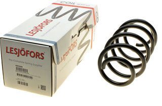 Lesjofors 4095088