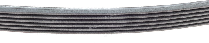 Continental 6PK1084