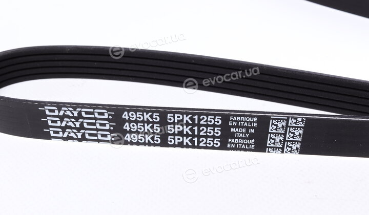 Dayco 5PK1255