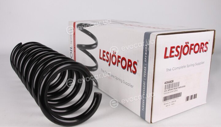 Lesjofors 4056828