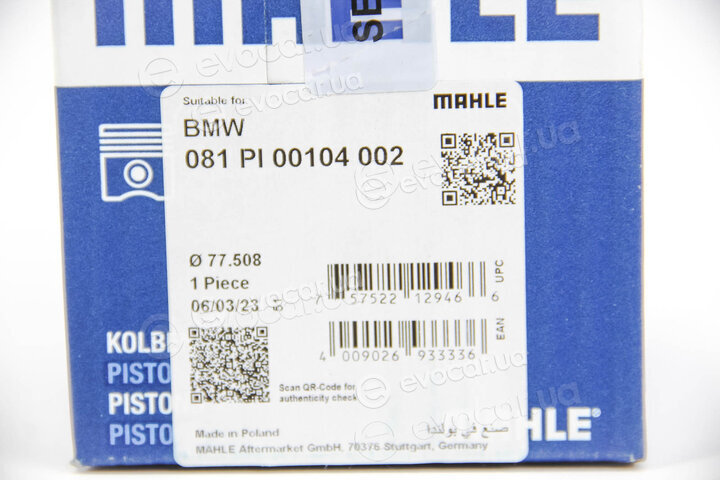 Mahle 081 PI 00104 002