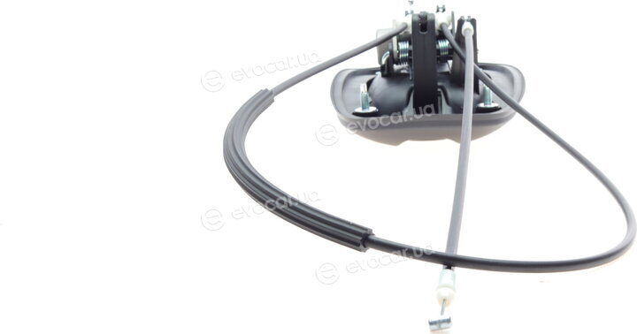 AIC 55847