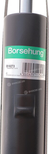 Borsehung B19273