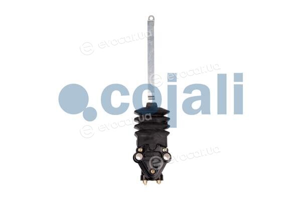 Cojali 2214519