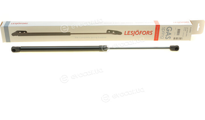 Lesjofors 8162060