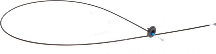 Solgy 305041