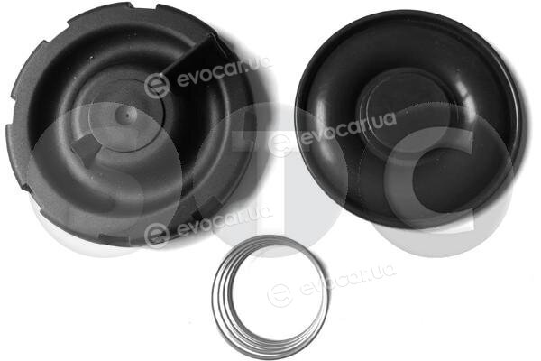 Metalcaucho / STC T497894