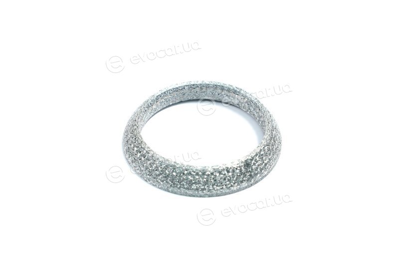 Elring 703.613